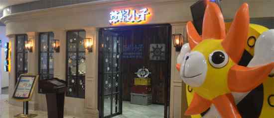 草帽小子 合肥草帽小子主题餐厅 路飞带你探寻海贼王里的美食宝藏