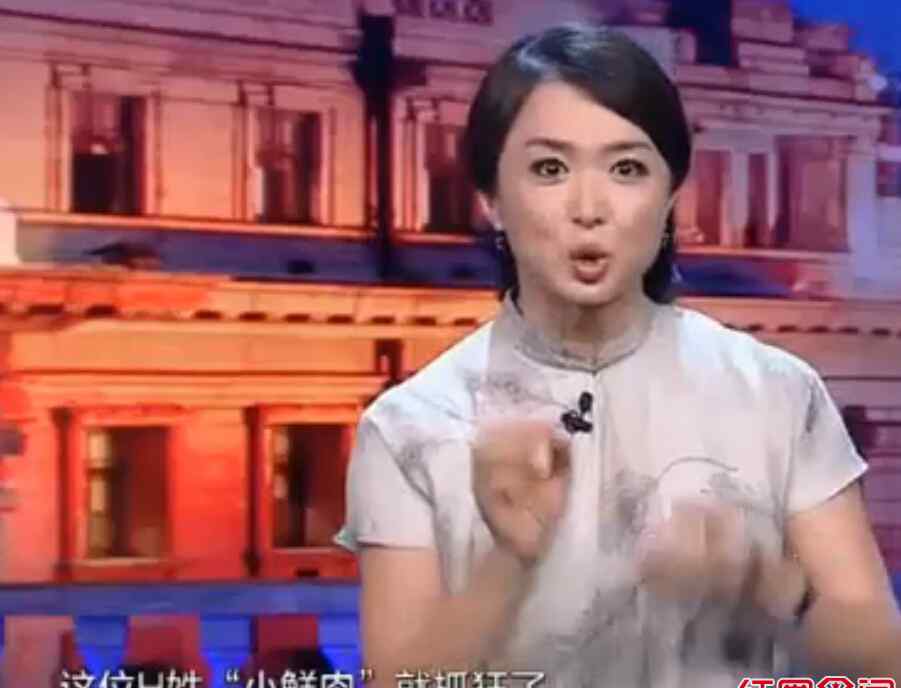 h姓小鲜肉 金星炮轰h姓小鲜肉视频曝光 张良为什么替黄子韬向黄渤道歉?