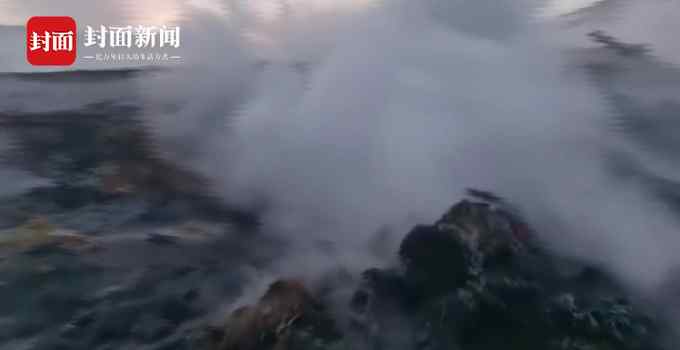 内蒙古赤峰一羊棚起火变“烤台” 上百只羊活活烧死全身乌黑 画面曝光