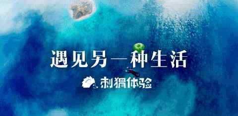 刺猬体验 刺猬国际志愿者-五大洲刺猬体验