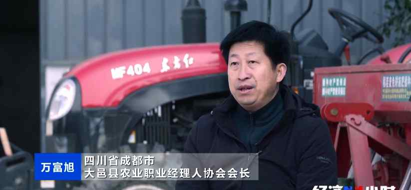 管理6000亩地、年纯利润300万元 农村新职业能挣大钱！