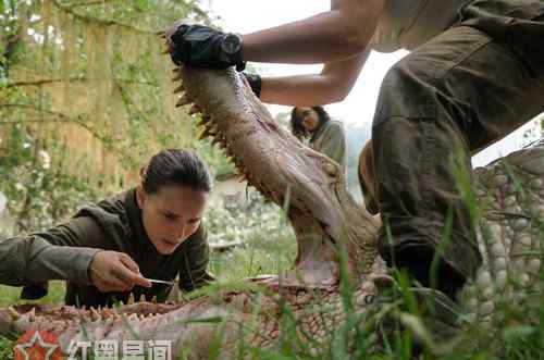 湮灭什么意思 湮灭结局什么意思 莉娜和凯恩是外星人吗
