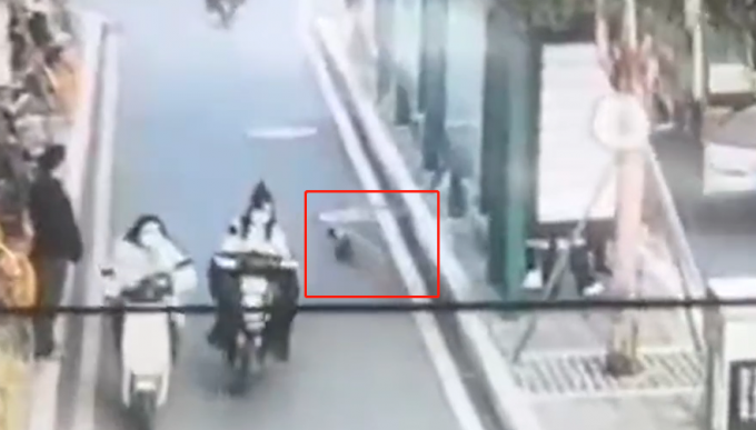 可怜！主人没拴绳宠物狗丢失多天 找回时下排牙几乎全没了