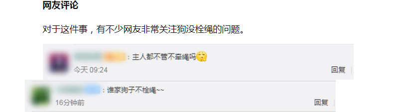 狗子绝育后连续3月到宠物医院骂街 哭笑不得 具体是啥情况?