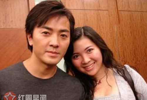 郑伊健蒙嘉慧结婚 郑伊健为什么不要孩子 郑伊健和蒙嘉慧感情好吗