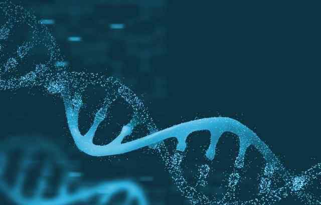 dna相似度 狗和人类的基因相似度高达95%，意不意外？为什么会这样？