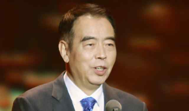 陈凯歌儿子 他们都是陈凯歌儿子，差别还挺大，小儿子成颜霸，大儿子才是王者