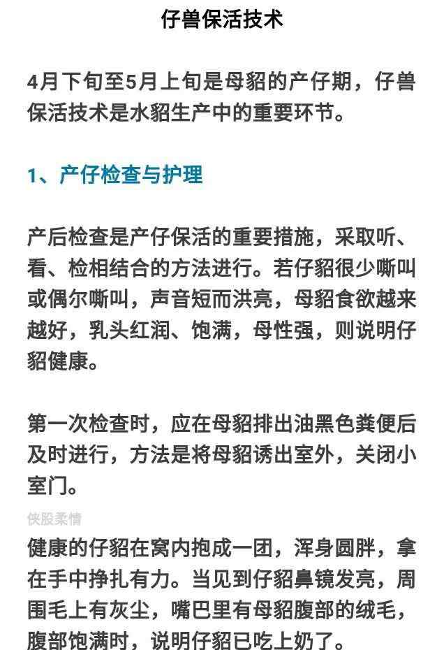 养儿是个技术活 仔兽保活，是个技术活儿文章配图