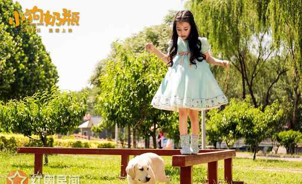 小狗奶瓶 小狗奶瓶里的狗是什么狗 电影小狗奶瓶结局是什么