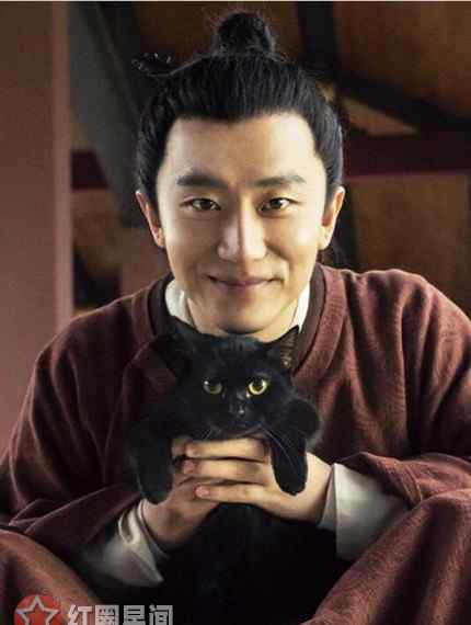 孟买猫和黑猫的区别 妖猫传中黑猫品种是孟买猫吗 妖猫传黑猫现以发福模样太逗