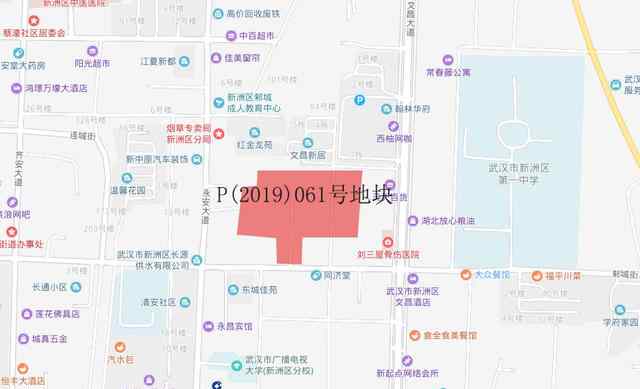 184701 6月18日武汉土拍揽金10.57亿，碧桂园首度落子新洲