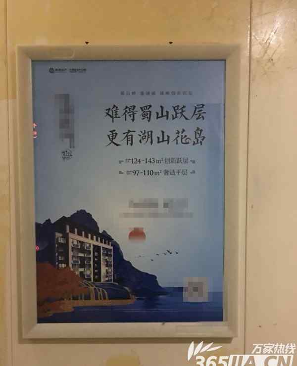 合肥电梯广告 合肥小区各种植入广告五花八门 宝业城市绿苑小区电梯现避孕套广告