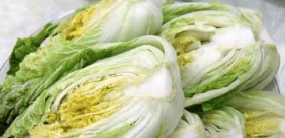 酸菜馅饺子好吃的秘诀 老妈用了20年的腌酸菜方法，牢记3窍门，酸菜酸脆好吃，不发臭