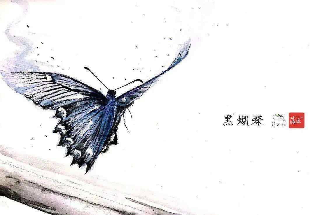 黑蝴蝶白蝴蝶 寄往天堂的一封信 ｜ 黑蝴蝶·白蝴蝶