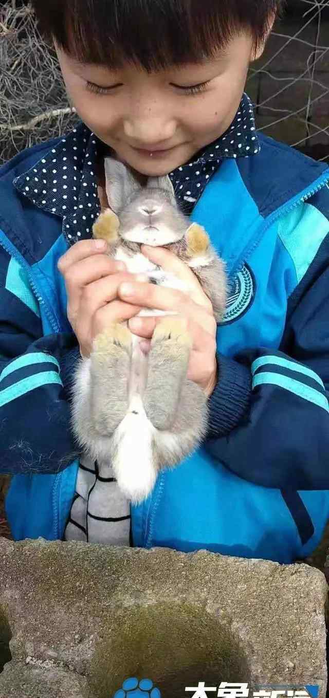 儿童目击者 河南9岁男孩离奇失踪30天 警方地毯式排查5轮仍毫无线索，目击者披露当天细节