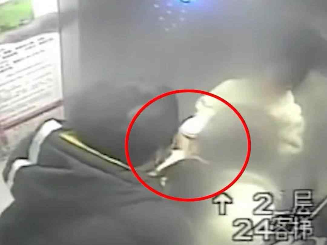 男子电梯猥亵年轻妈妈 反被暴揍 嫌疑人抓住了！