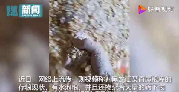 筛糠的意思 近日，网传中储粮回应储备粮出现质量问题？玉米掺杂着大量的筛糠