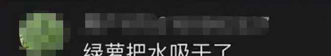 石家庄男子居家隔离23天 办公室养了8年的鱼竟成鱼干了 水都蒸发了