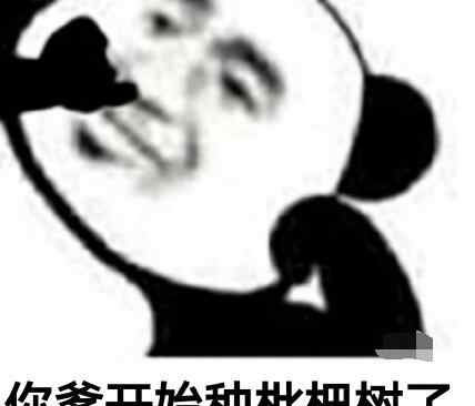 你爸在院子里种枇杷树是什么意思 你爸今晚必在庭中种枇杷树什么意思 当代网友内涵骂人
