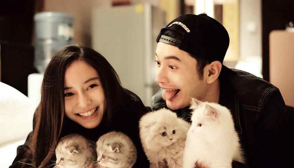 黄晓明和杨颖离婚 黄晓明暴瘦20斤，港媒爆其与杨颖早已离婚，引发猜测：为情所困