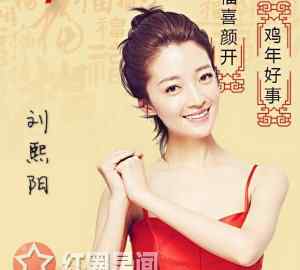 一纸婚约评价 一纸婚约刘熙阳背景很强大吗 解读刘熙阳的男朋友是谁