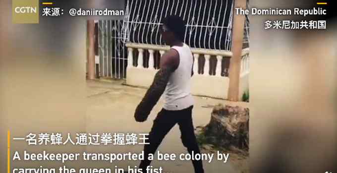 密恐预警！外国男子街头手臂运送蜂群 不被蜇伤原因曝光 网友：受不了