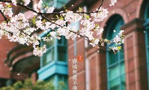 清明节作文题目 2020高考专题清明节素材：30佳句，25张海报，20段时评，10个主题，6道作文题