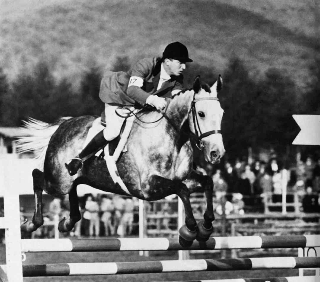 1964年东京奥运会 奥运马术故事之回望1964年东京奥运会