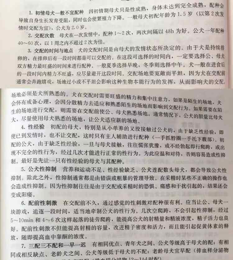狗配种 狗狗配种的注意事项