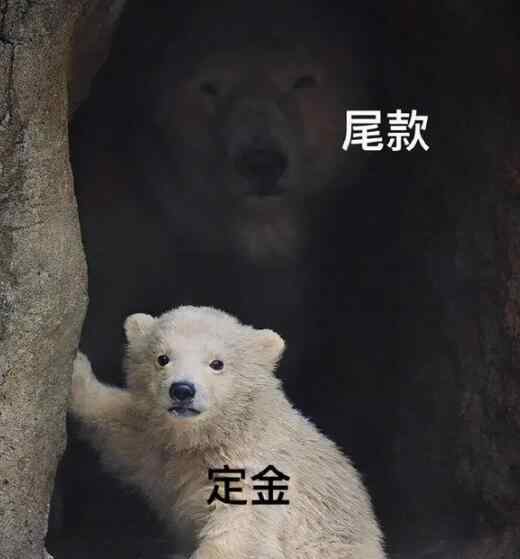尾款是什么意思 尾款人定金人什么意思 这个双十一尾款人梗火爆网络