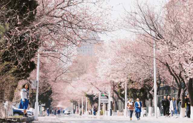 jlu 吉林大学，来了！
