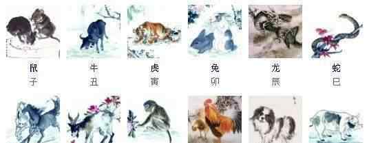 十二生肖排名 这才是十二生肖排序的真实原因，不敢相信！第一次听说...