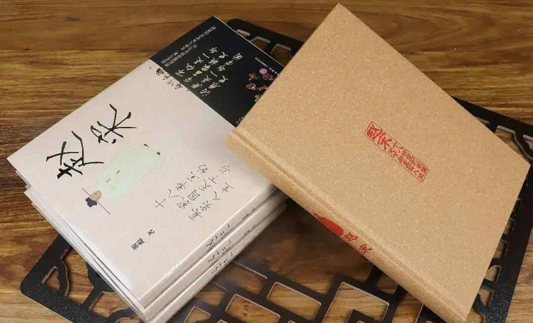 陈桥兵变是谁发动的 《赵宋》：赵匡胤陈桥兵变被逼无奈？透过细节窥探，这是一场阴谋