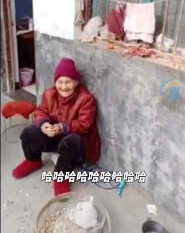 河南哥嫂“偷走”90岁老母亲 弟弟上门“理论”：恁咋这样哩！