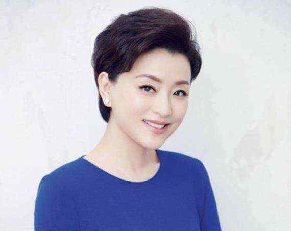 杨澜叫多少男人弄过 央视主持人实力有多厉害？你对他了解有多少？