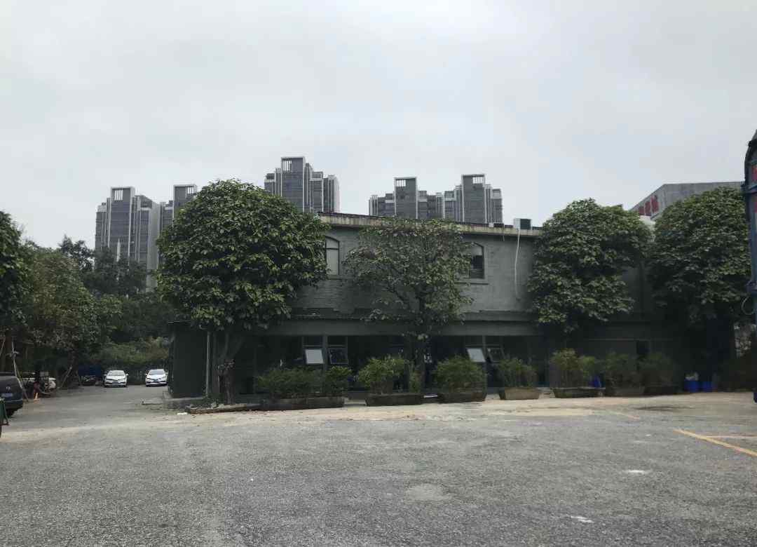 1506 1506创意产业园藏一个小祖庙，美食界大佬们都去等位吃饭！
