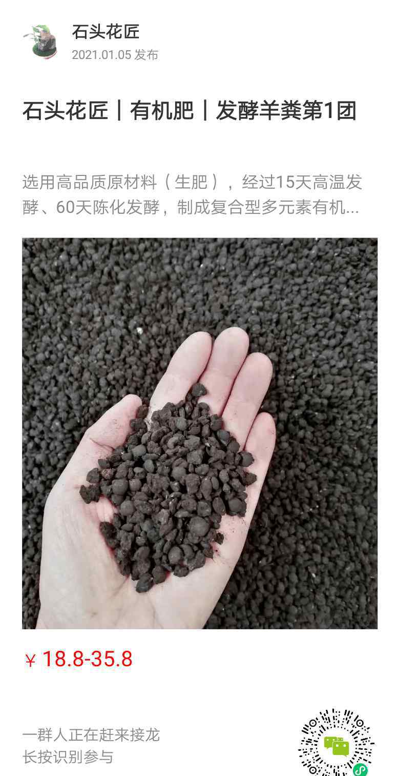 三角梅冬天怎么过冬 冬天养三角梅，掌握4个原则，顺利过冬、明年满树开花
