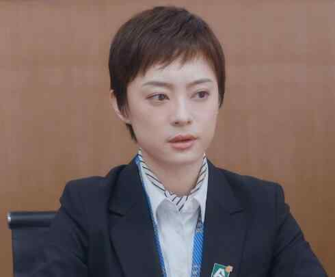 房似锦 安家中房似锦的名字有什么含义 房似锦的意思是什么