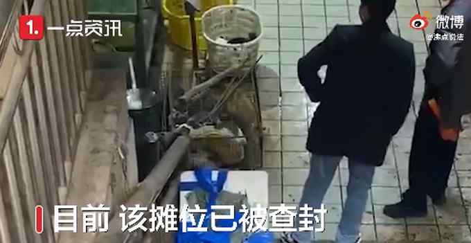 湖南永州市场卖现宰活猫 律师：没有法律规定不能吃 网友直言不能接受