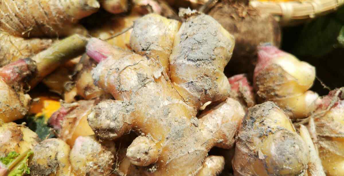 感冒要忌口的食物 感冒了该如何忌口？吃什么好得快？