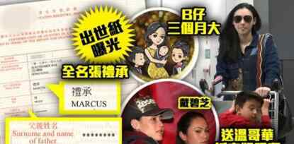 张柏芝生三胎是谁的 张柏芝三胎儿子名字是什么 孩子生父身份成迷大家很好奇
