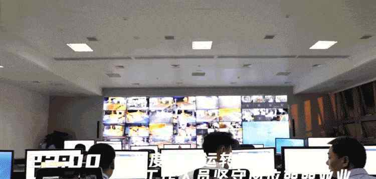 徐闻新闻 来！带你看徐闻港24小时发生着什么？
