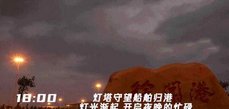 徐闻新闻 来！带你看徐闻港24小时发生着什么？