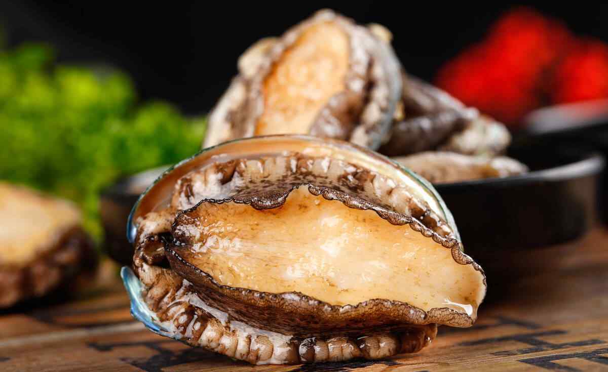 一头鲍 吃海鲜时，千万别点一头鲍鱼，不然结账被吓到，你知道原因吗？