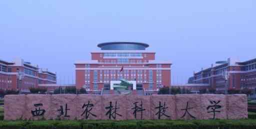 法学考研难度低的985 这些985高校考研难度较低，逆袭可能性大，每年报考人数比较少