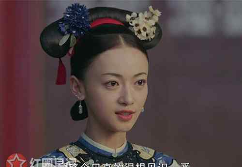 延禧攻略原著是哪本 延禧攻略小说停更原因是什么 于正对小说做了什么
