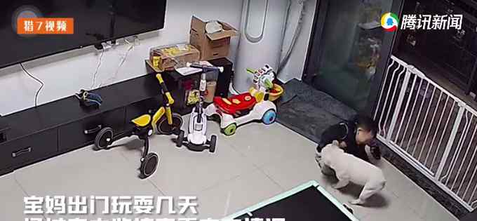 宝宝和法斗趁宝妈不在家开始“打架” 狗狗发现打不赢后作法亮了