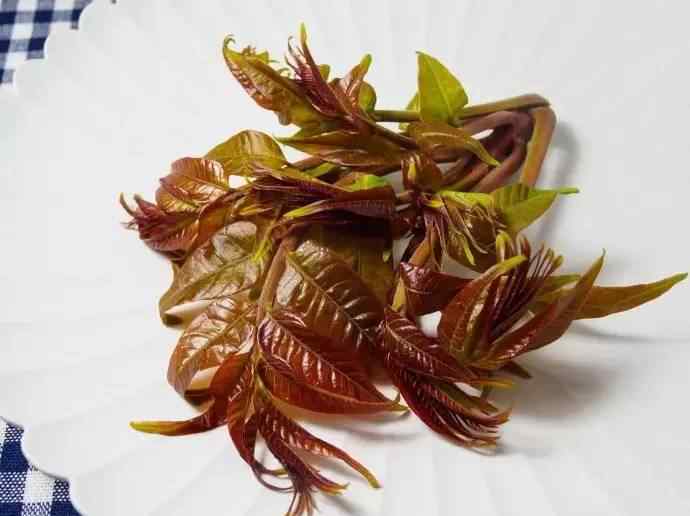 椿菜 春天吃椿菜好处多！但千万别跟这些食物一起吃！
