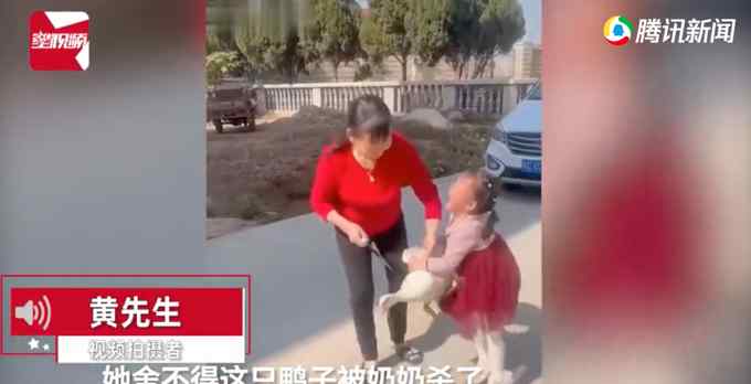 奶奶院子里杀鸭 4岁女孩得知崩溃大哭极力阻止！无奈放下“屠刀”