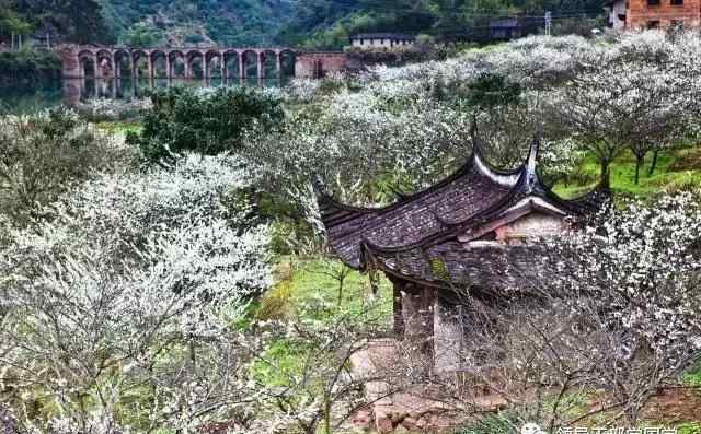 李花的诗句 【诗词鉴赏】韩愈《李花赠张十一署》